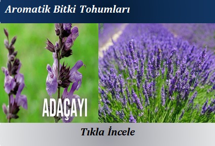 http://www.polatoglutohumculuk.com/aromatik-tohumlar.html