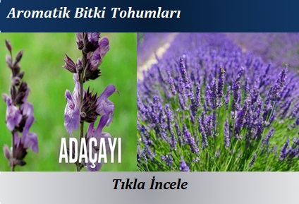 http://www.polatoglutohumculuk.com/aromatik-tohumlar.html